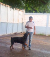 /album/fabian-rodriguez/a375229-2884516721942-765896283-n-jpg/
